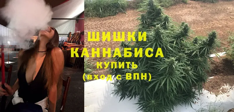 хочу   shop телеграм  Шишки марихуана White Widow  Приморско-Ахтарск 